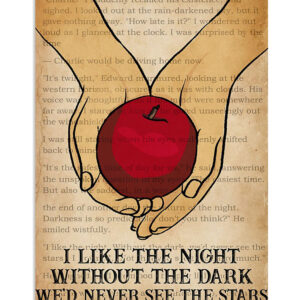 Books Lover I Like The Night Without The Dark Books Reader Poster