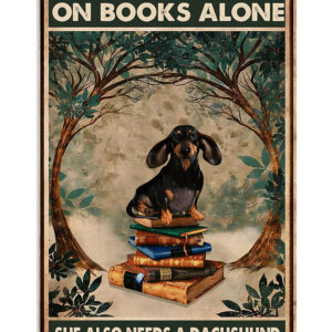 Dachshund Woman Loves Book And Dachshund Gift For Dachshund Lover Poster